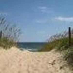 Meet your Posher, Pam